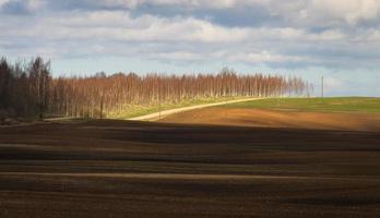 Spring Landscapes With Clouds photo