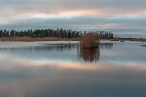 Autumn Day at the Swamp Lake photo