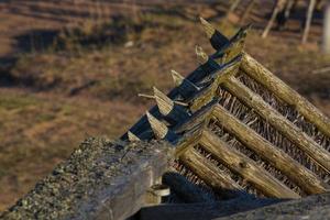 Spring Views From Hiiumaa Island photo