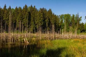 Landscapes From the Latvian Countryside in Spring photo