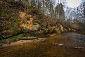 pequeño río forestal a principios de la primavera foto