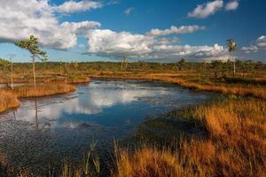 Autumn Day at the Swamp Lake photo