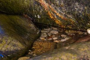 paisajes primaverales en la isla de hiiumaa foto