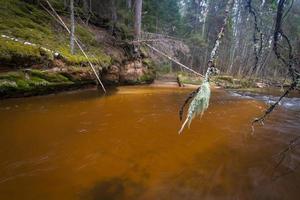 pequeño río forestal a principios de la primavera foto