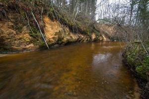 pequeño río forestal a principios de la primavera foto