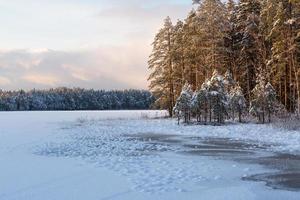 Snowy Winter Day in the Swamp photo