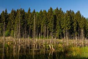 Landscapes From the Latvian Countryside in Spring photo