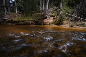 pequeño río forestal a principios de la primavera foto