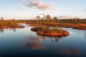 Autumn Day at the Swamp Lake photo