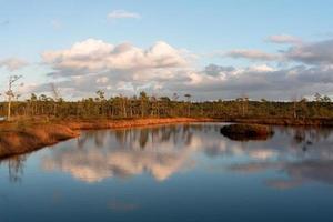 día de otoño en el lago pantanoso foto