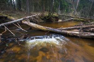 Small Forest River in Early Springtime photo