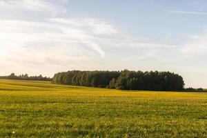 Landscapes From the Latvian Countryside in Spring photo