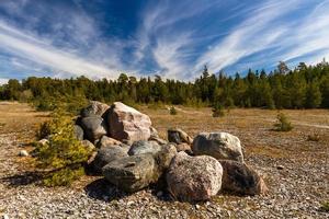 paisajes primaverales en la isla de hiiumaa foto