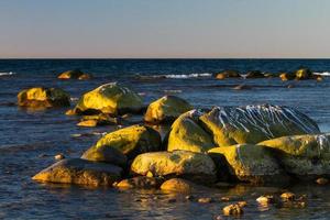 vistas primaverales desde la isla hiiumaa foto