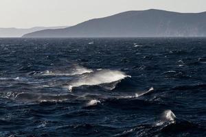 Waves in the Mediterranean Sea photo