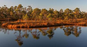 día de otoño en el lago pantanoso foto