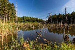 Landscapes From the Latvian Countryside in Spring photo