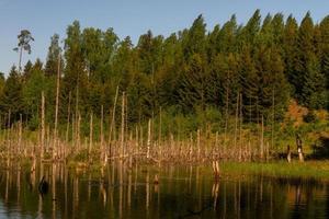 Landscapes From the Latvian Countryside in Spring photo