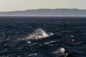 Waves in the Mediterranean Sea photo