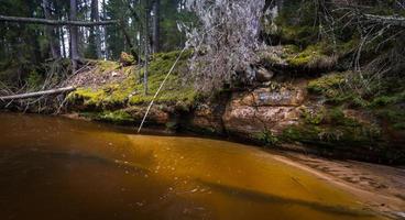 pequeño río forestal a principios de la primavera foto