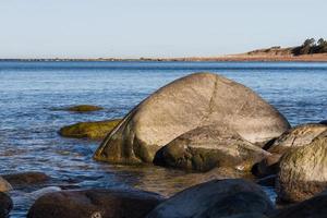 paisajes primaverales en la isla de hiiumaa foto