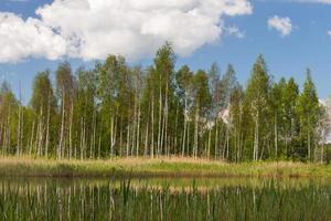 Landscapes From the Latvian Countryside in Spring photo