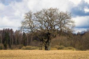 Spring Landscapes With Clouds photo