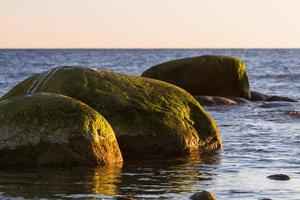 vistas primaverales desde la isla hiiumaa foto