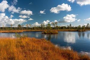 Autumn Day at the Swamp Lake photo