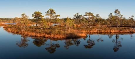 día de otoño en el lago pantanoso foto