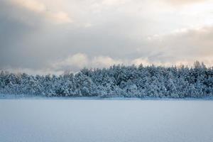 día de invierno nevado en el pantano foto