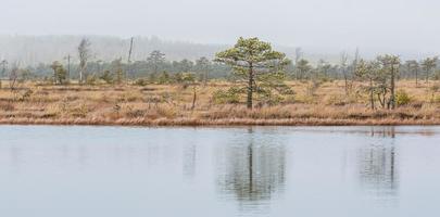 Autumn Day at the Swamp Lake photo