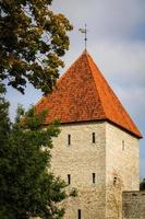 Old Town of Tallinn in Summer photo