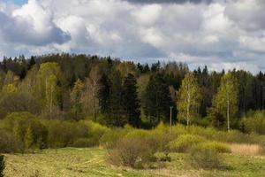 paisajes de la campiña lituana en primavera foto