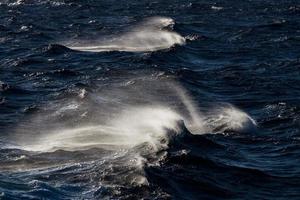 Waves in the Mediterranean Sea photo