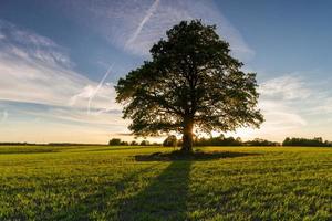 Landscapes From the Latvian Countryside in Spring photo