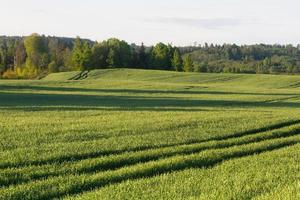 paisajes de la campiña letona en primavera foto