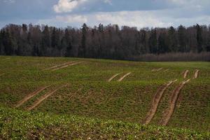 Spring Landscapes With Clouds photo