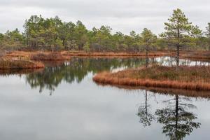 Autumn Day at the Swamp Lake photo