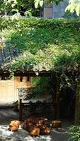 The old temple view with the ancient Chinese buildings located on the top of the mountains photo