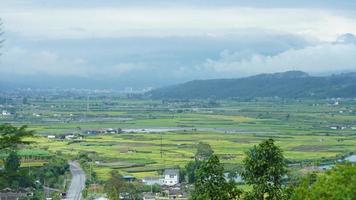 The harvesting yellow rice field view located in the valley among the mountains with the cloudy sky as background photo