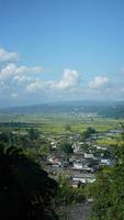 The harvesting yellow rice field view located in the valley among the mountains with the cloudy sky as background photo