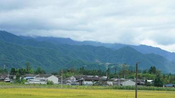 The harvesting yellow rice field view located in the valley among the mountains with the cloudy sky as background photo