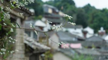 The old Chinese village view with the old built architectures in it photo