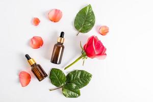 two glass bottles with a dropper with a cosmetic, rose oil, essential oil of rose petals on a pastel background among rose petals. additional care. photo