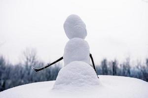 muñeco de nieve en miniatura con tema de invierno foto