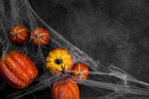 Mystery Halloween background with pumpkins covered in spiderweb and spider on top. Copyspace banner photo