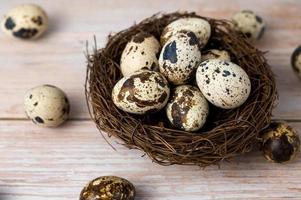 Fresh quail eggs. Rustic style on wood background. Easter banner with place for text photo