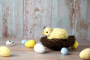 Easter greeting card with small chicken surrounded with eggs against blue background. photo