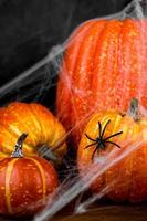 Closeup of Spider sitting on pumkin covered in web. Spooky Halloween background.Vertical banner photo